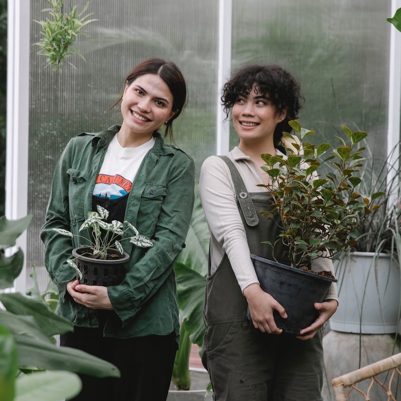 woman holding an aloe plant